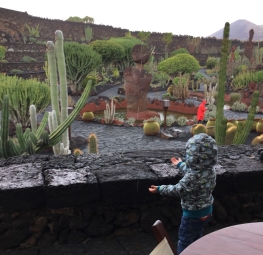 Ein Kind steht auf der Anhöhe des Cafés im Jardin de Cactus und hält die Hände gen Himmel, da es regnet. Im Hintergrund ist der Park mit seiner Vielfalt an Kakteen zu sehen.
